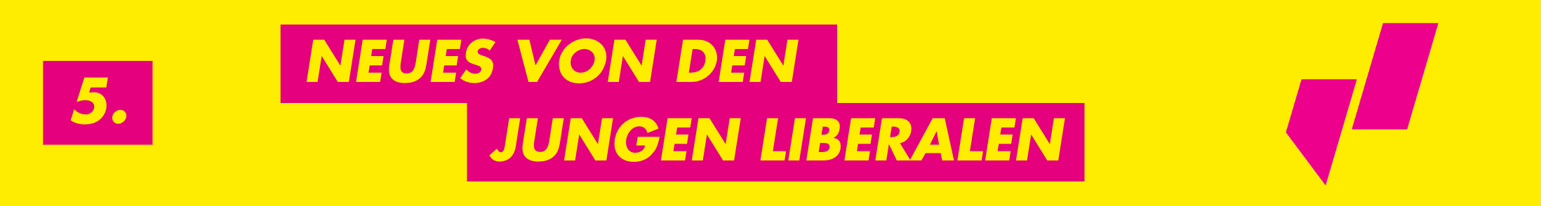 5. Neues von den Jungen Liberalen